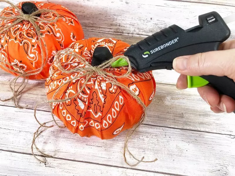 Bandana Pumpkins