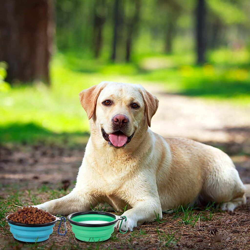 Dog Travel Bowls