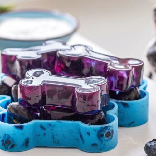 Blueberry & Coconut Gummies for Dogs